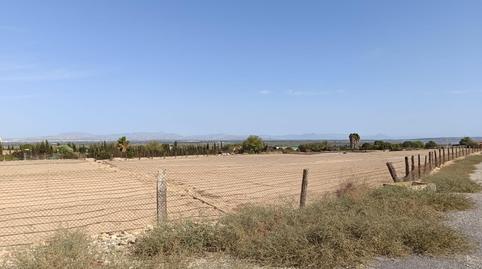 Foto 5 de Terreno en venta en La Marina, Alicante