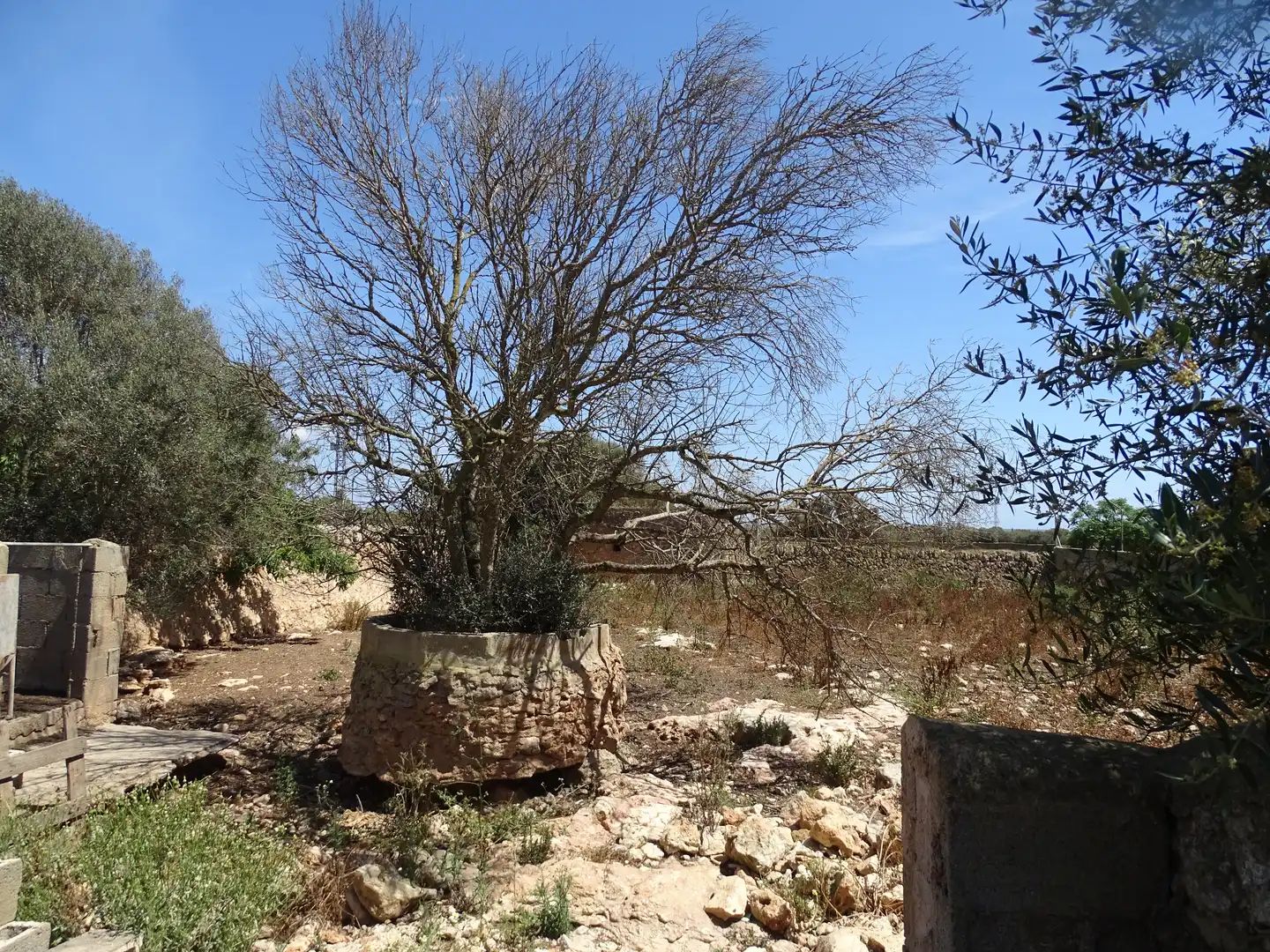 Rustikales Grundstück zum Verkauf in Zona Rústica - Interior, imagen 12