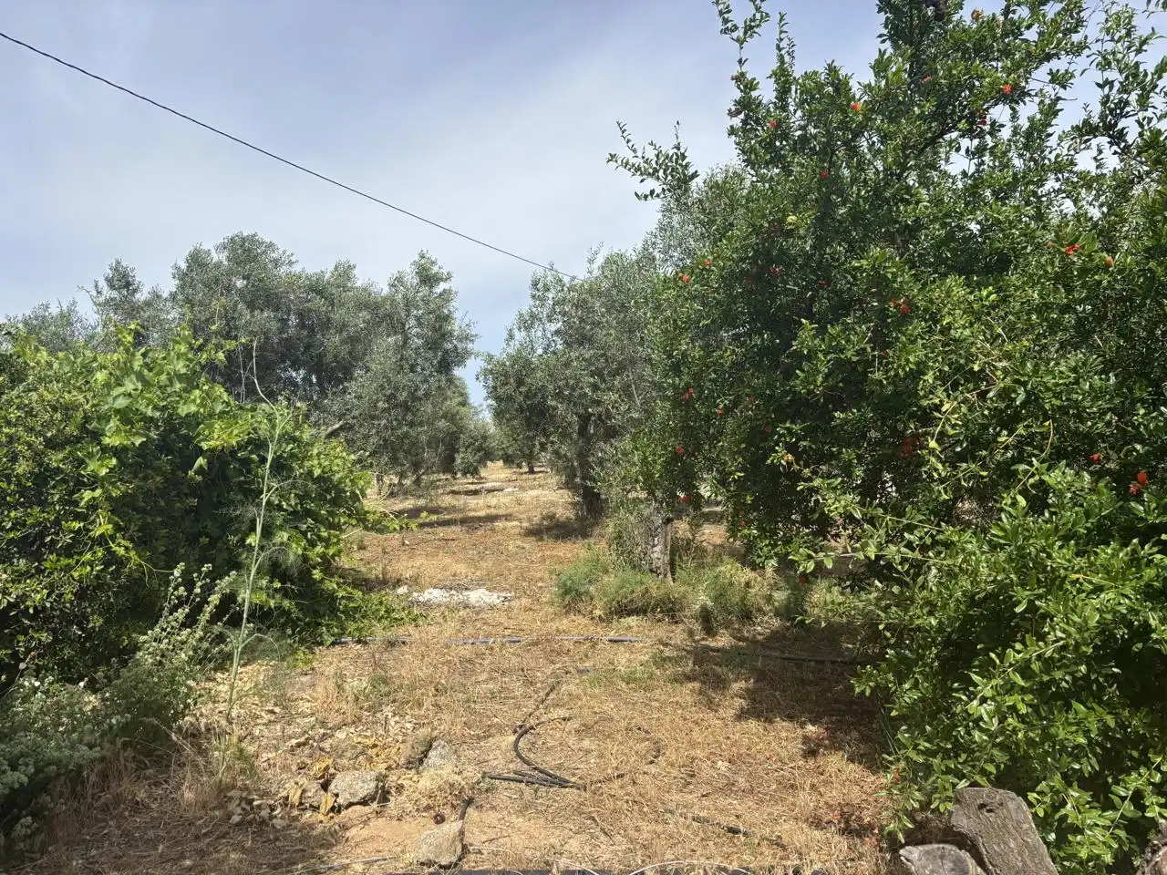 Finca rústica en venta en Diseminado Poligono 240, 29, Bobadilla - Bobadilla Estación - La Joya