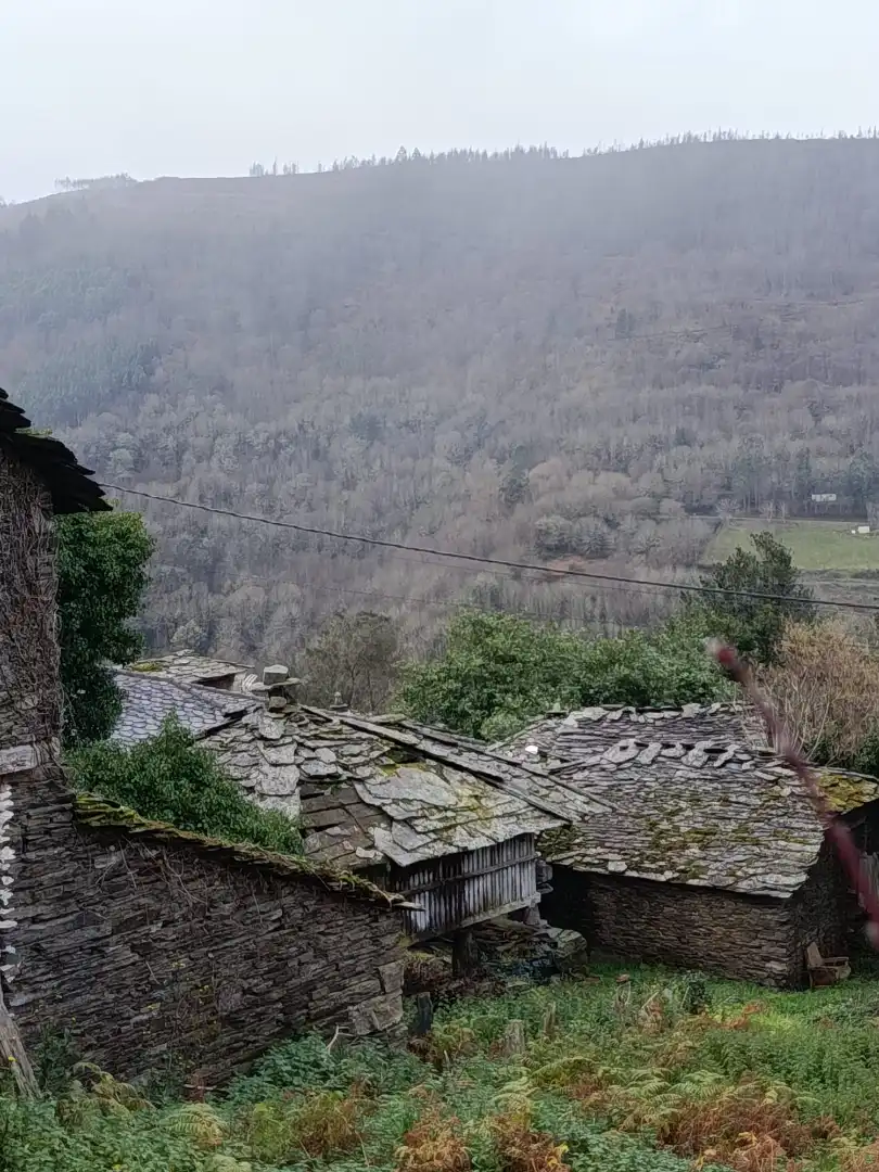 Vista exterior de Finca rústica en venda en A Pontenova   amb Jardí privat, Terrassa i Balcó