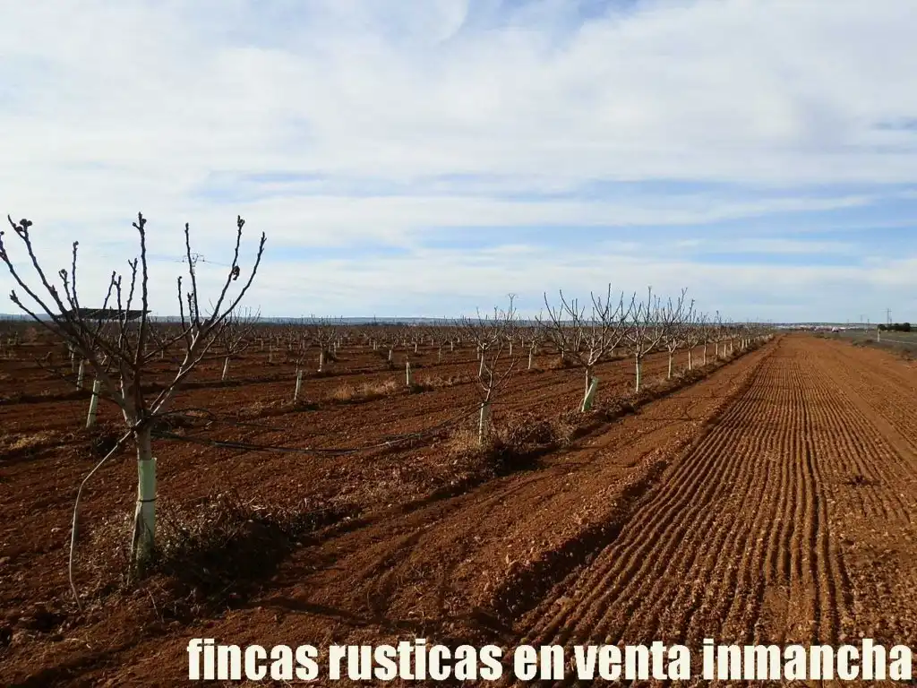 Terreno en venta en Albacete