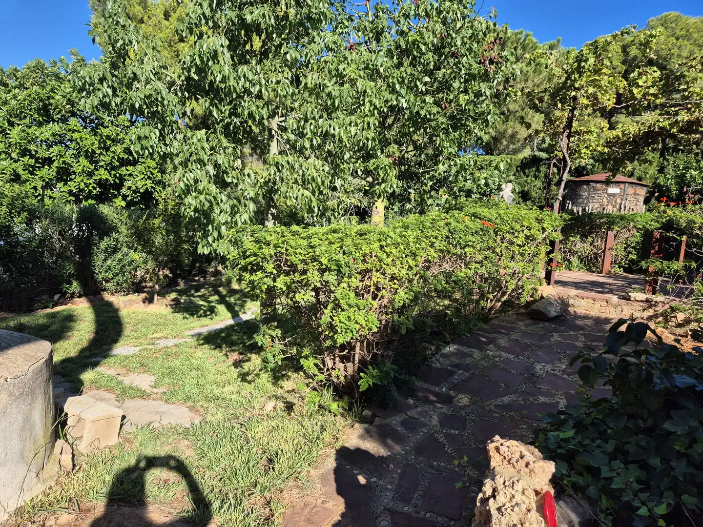 Casa o chalet en venta en Avenida Fuente del Oro, San Miguel - El Paraiso