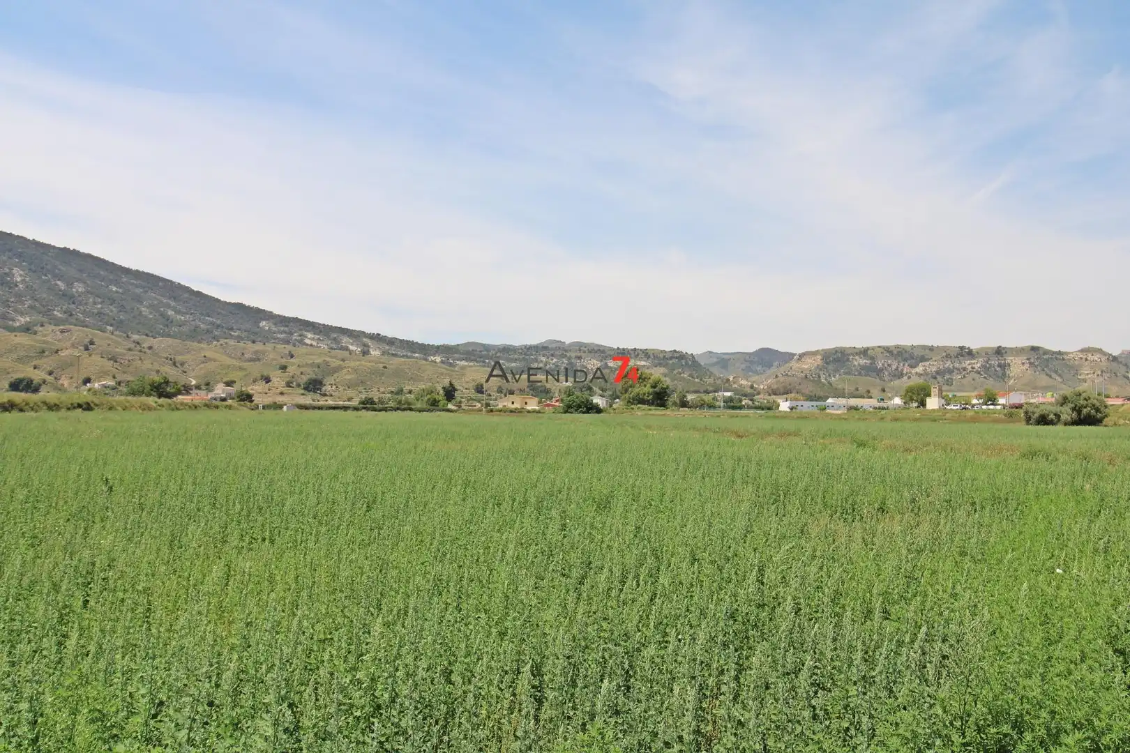 Terrains et parcelles à vendre à Lorca Ciudad, imagen 9