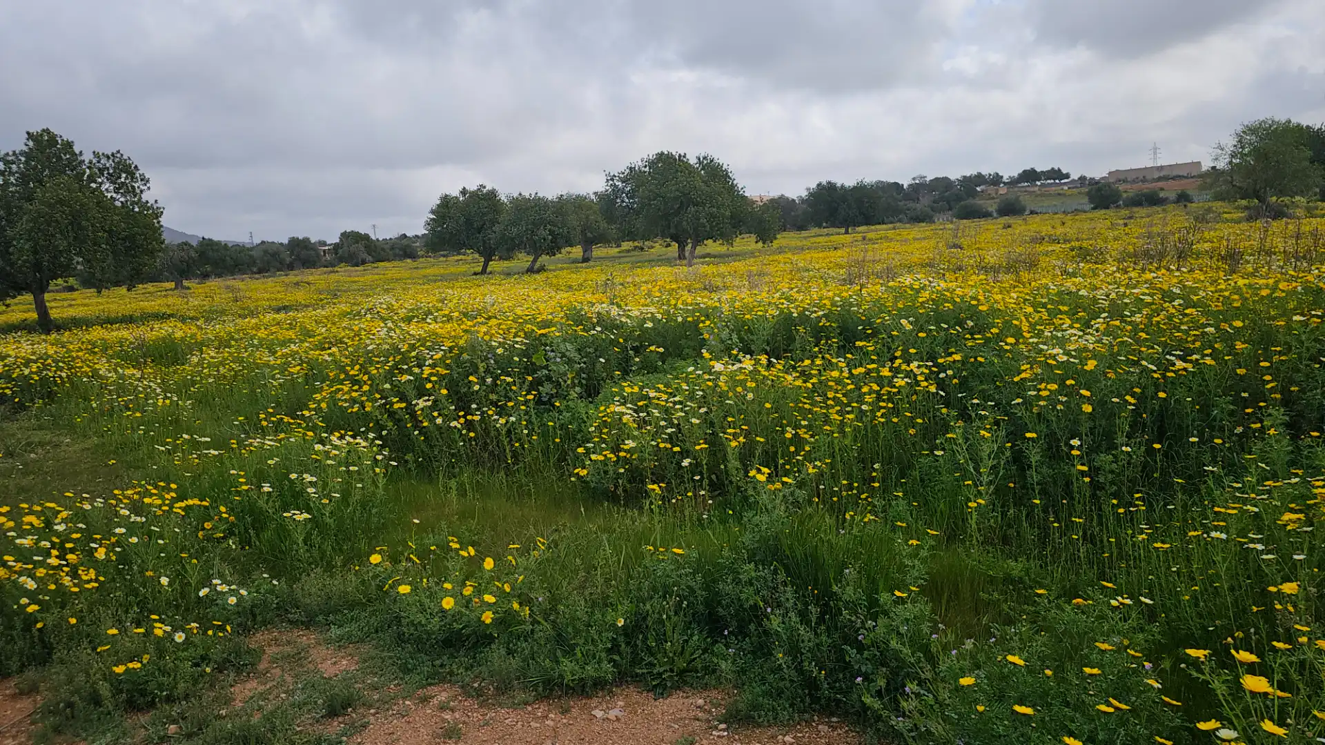 Finca rústica en venta en Marratxí con Aire acondicionado, Calefacción y Jardín privado