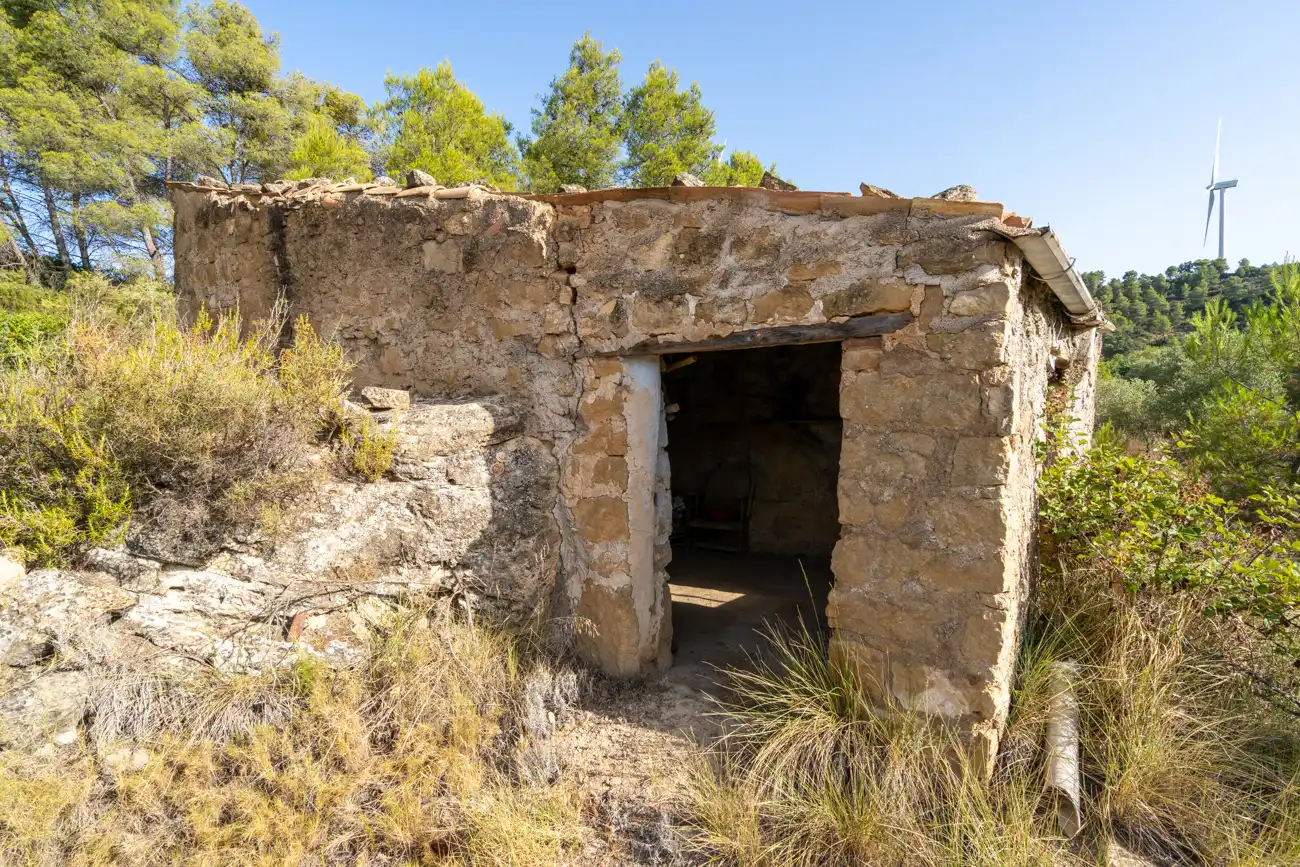 Exterior view of Land for sale in Caseres