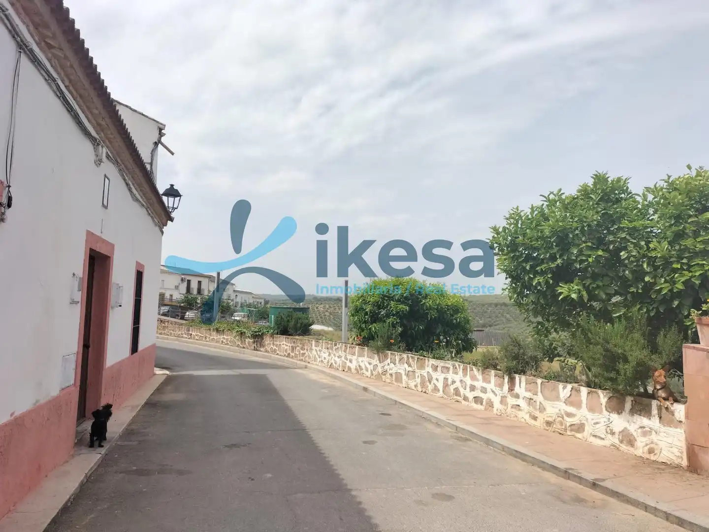 Vista exterior de Piso en venta en Adamuz
