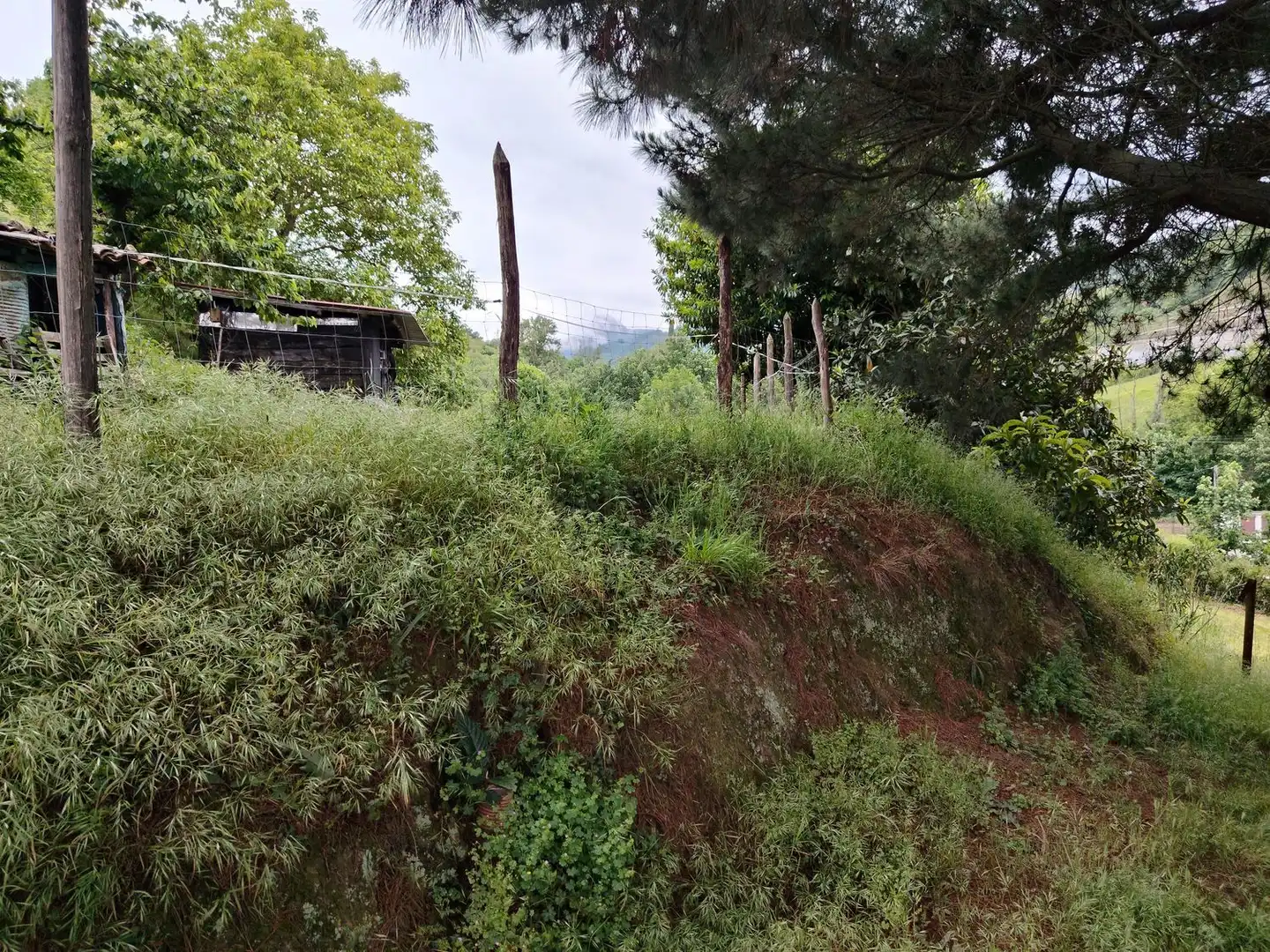 Residential for sale in Lena