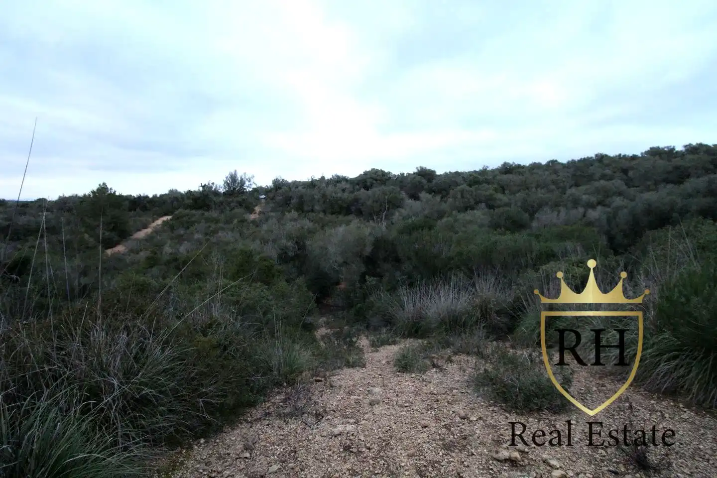 Lands and plots for sale in POLIGONO 49 PARCELA 3, imagen 4