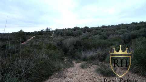 Foto 4 de Residencial en venta en Poligono 49 Parcela 3, Felanitx Poble, Felanitx