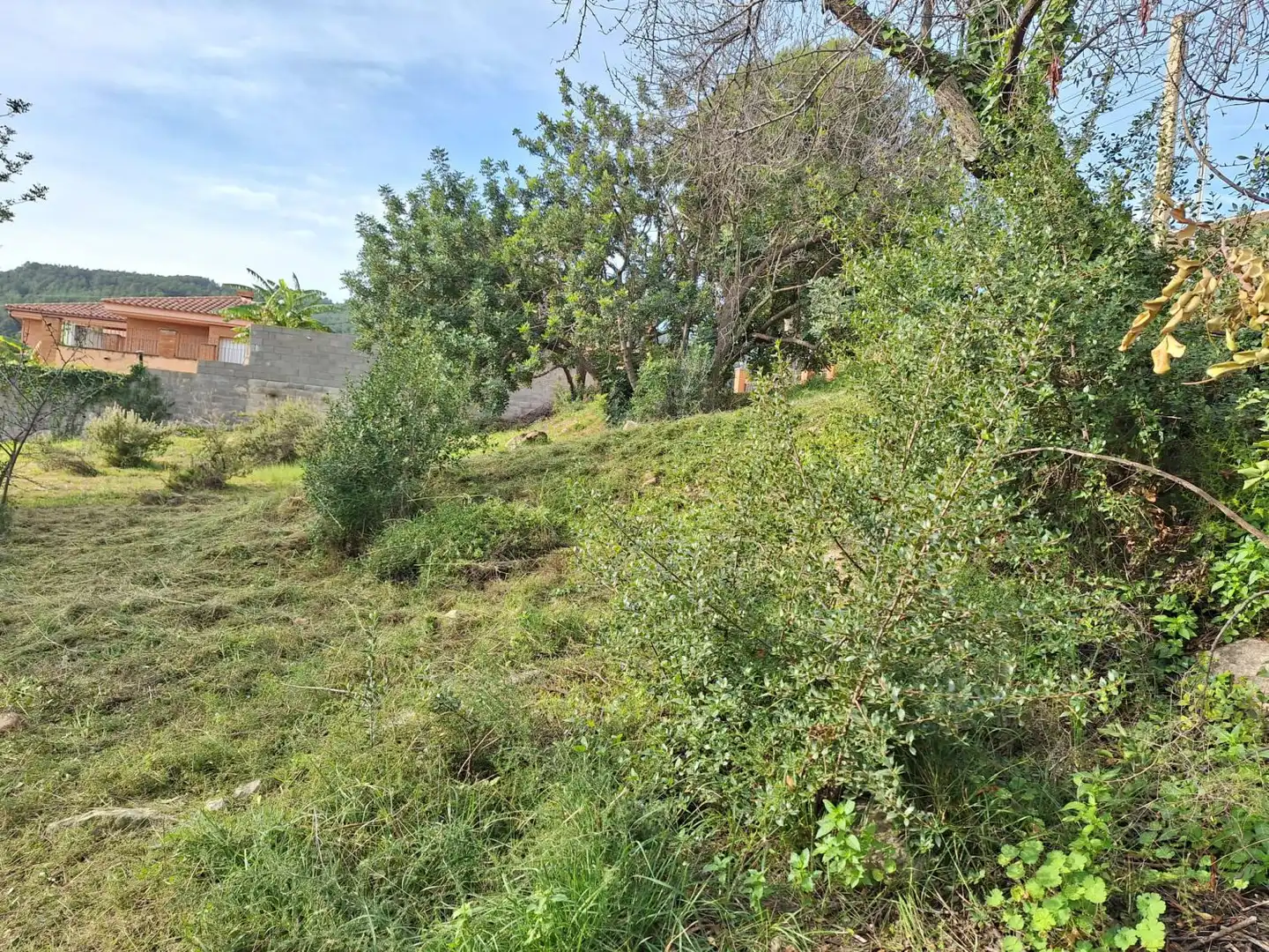 Terrenos y solares en venta en Alcover, imagen 2
