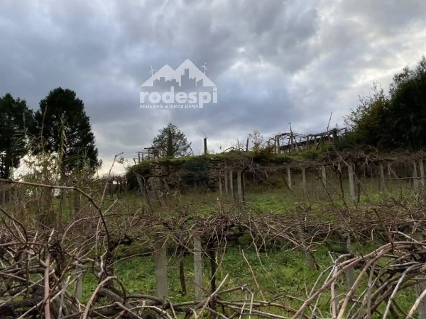 Terreny rústic en venda a A Cañiza, imagen 6