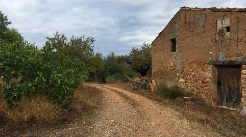 Foto 3 de Finca rústica en venda a N/a, Benifallet, Tarragona