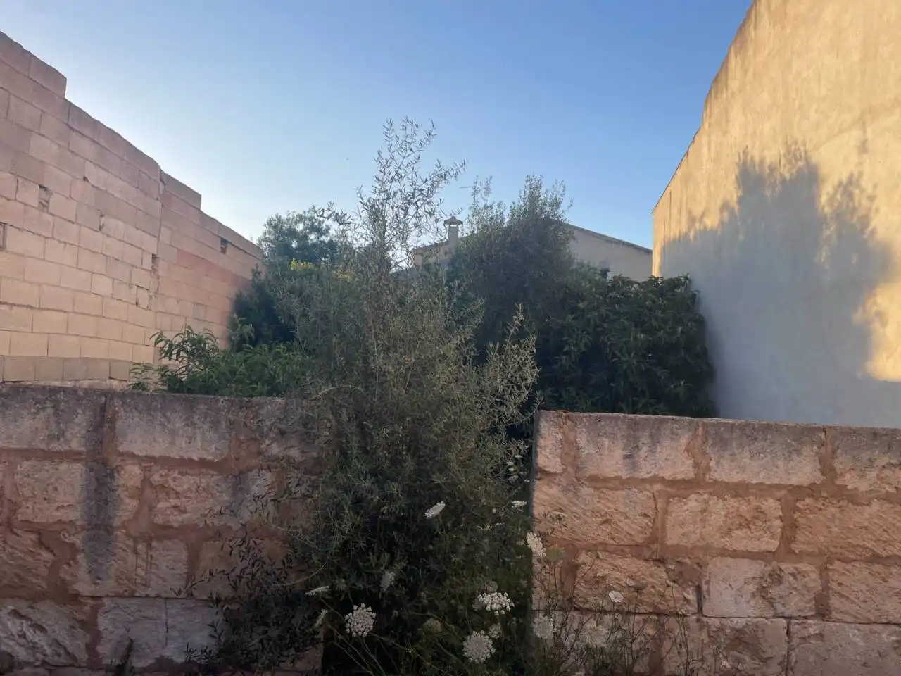 Rustikales Grundstück zum Verkauf in Sa Pobla, imagen 2