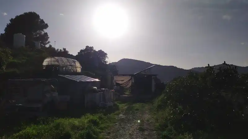 Exterior view of Land for sale in Frigiliana