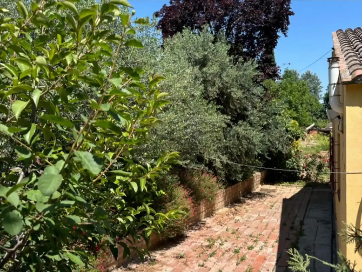 Jardí de Finca rústica en venda en  Lleida Capital