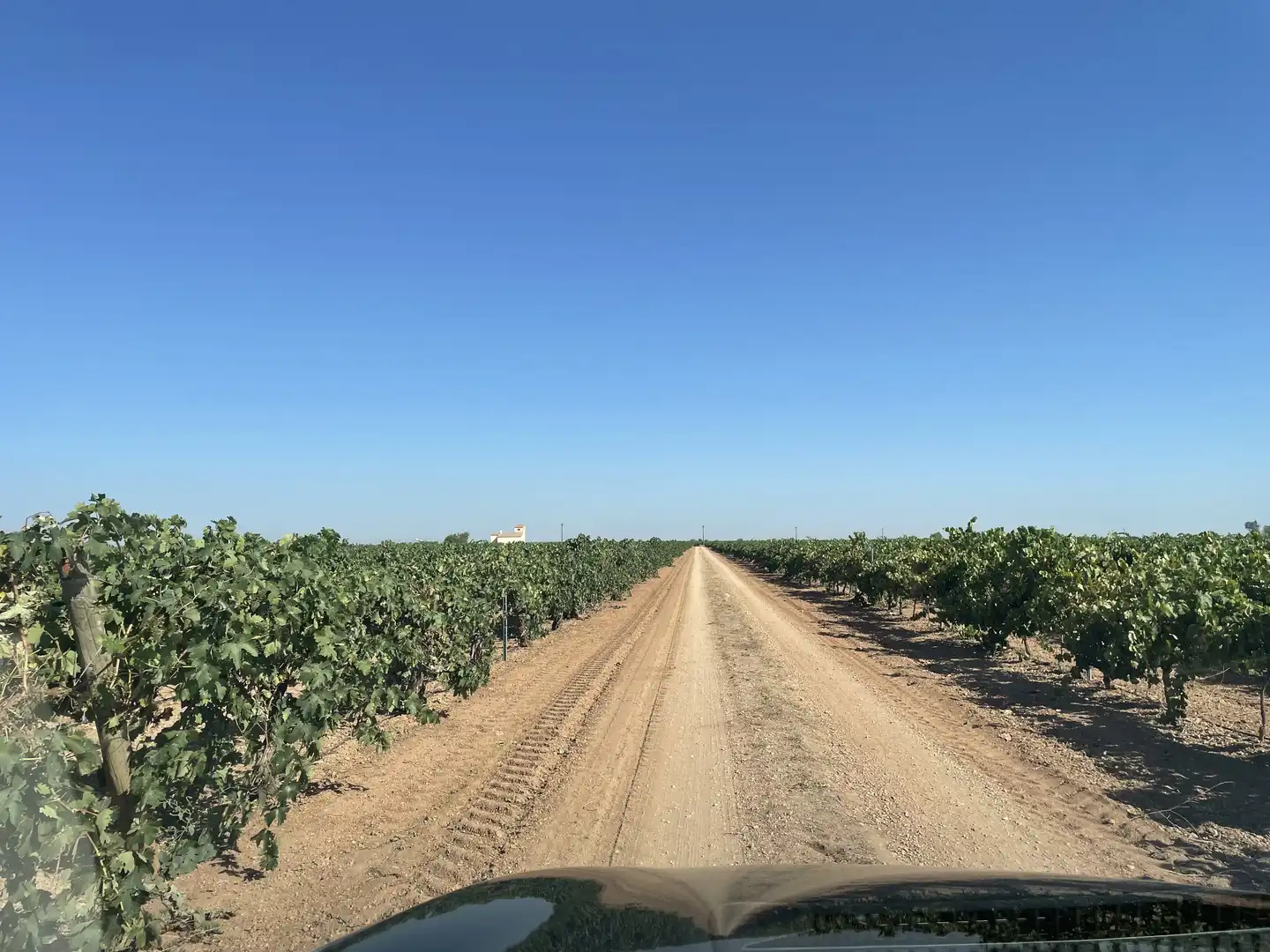 Rural land for sale in Argamasilla de Alba, imagen 2