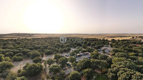 PERCELA EN VENTA EN LERMA, BURGOS, immagine 4