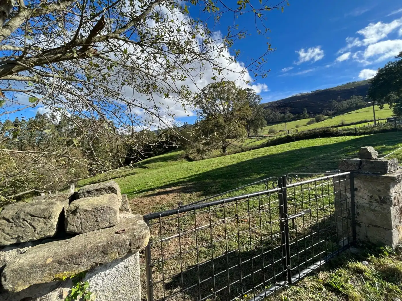 Rural land for sale in Mazcuerras