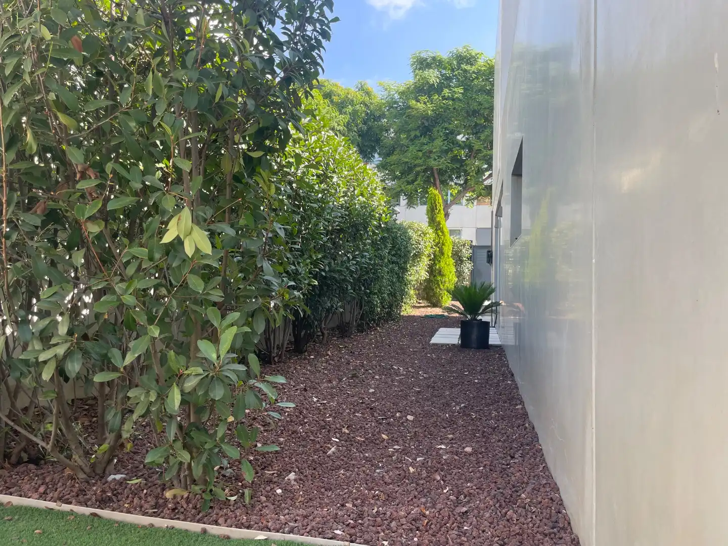 Haus mit Pool zur Miete in Calle El Rall 5, imagen 6