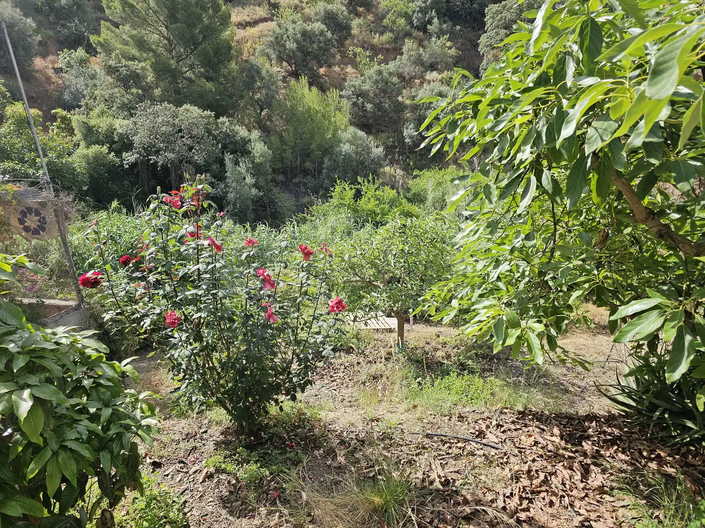 Country house for sale in El Rescate - Río Seco, imagen 26