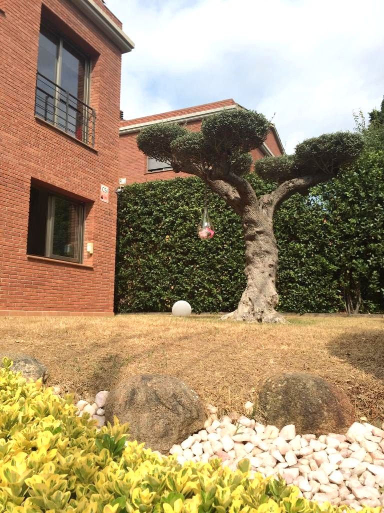Jardí de Casa o xalet de lloguer en Vilassar de Dalt amb Jardí privat, Piscina i Moblat