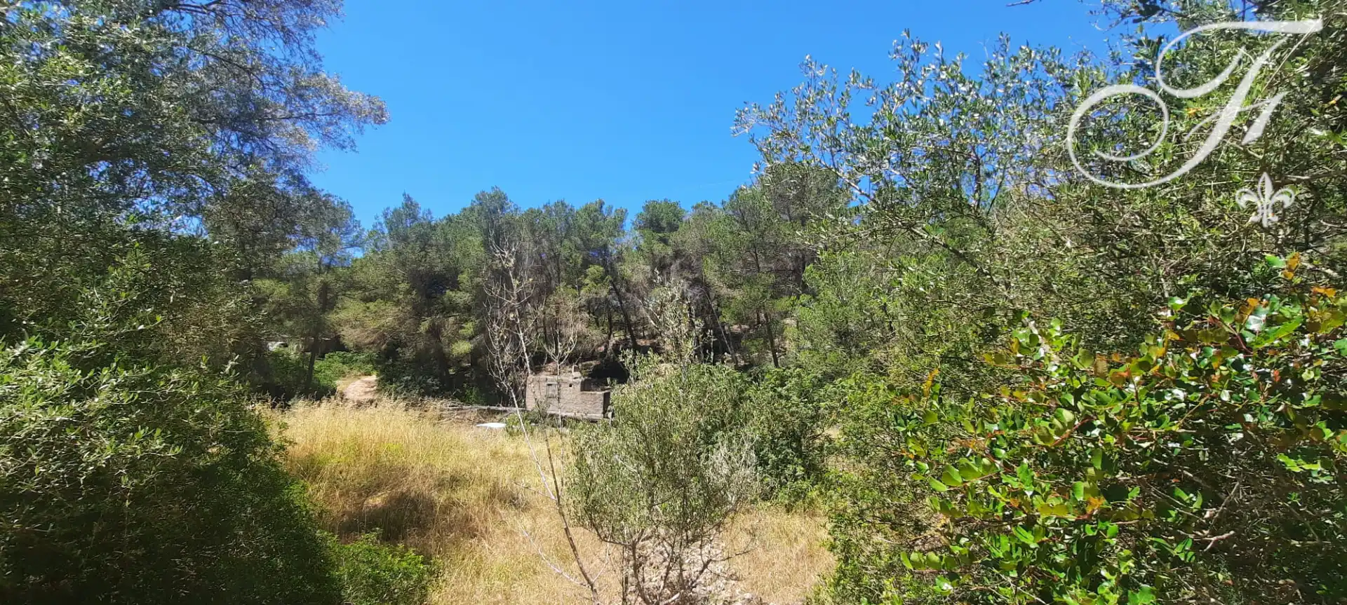 Terreny rústic en venda a Sant Jordi de Ses Salines-Sant Francesc, imagen 8