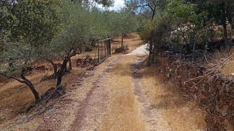 Foto 5 de Finca rústica en venta en Camino 21210, Zufre, Huelva