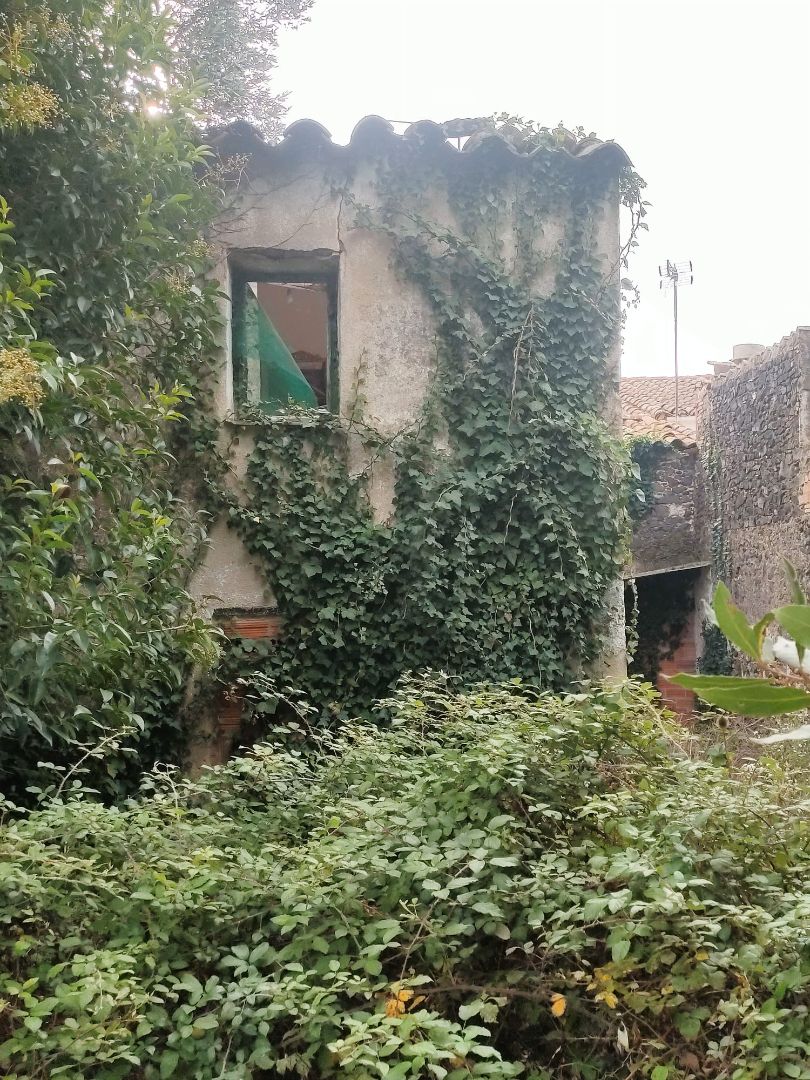 Vista exterior de Casa adosada en venda en Sils amb Jardí privat