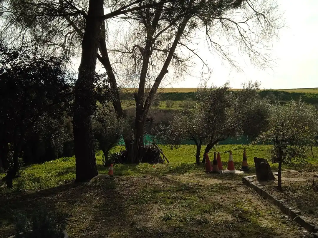 Jardí de Residencial en venda en Palomeque
