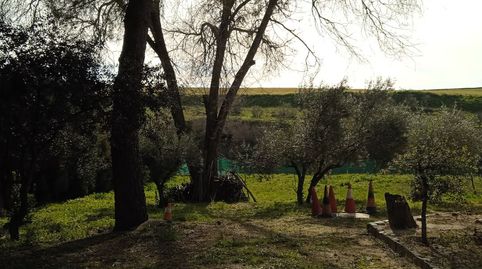 Foto 3 de Residencial en venda a Calle Ancha, 1, Palomeque, Toledo