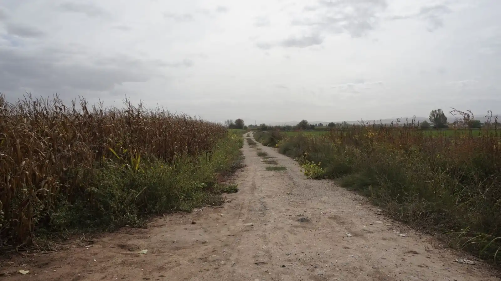 Rustikales Grundstück zum Verkauf in Pinos Puente, imagen 16