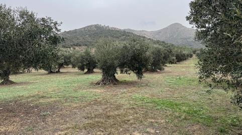 Photo 5 of Land for sale in Carrer de Dalt, Centre, Girona