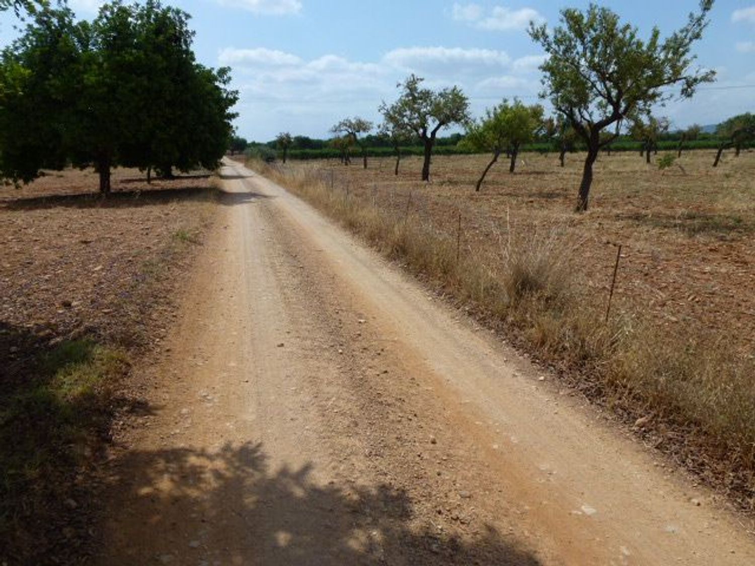 Exterior view of Land for sale in Binissalem