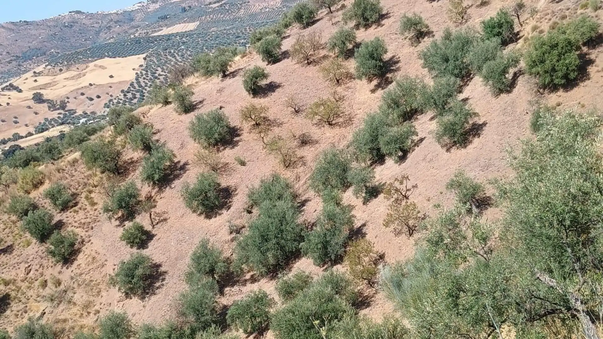 Terreno en venta en Riogordo