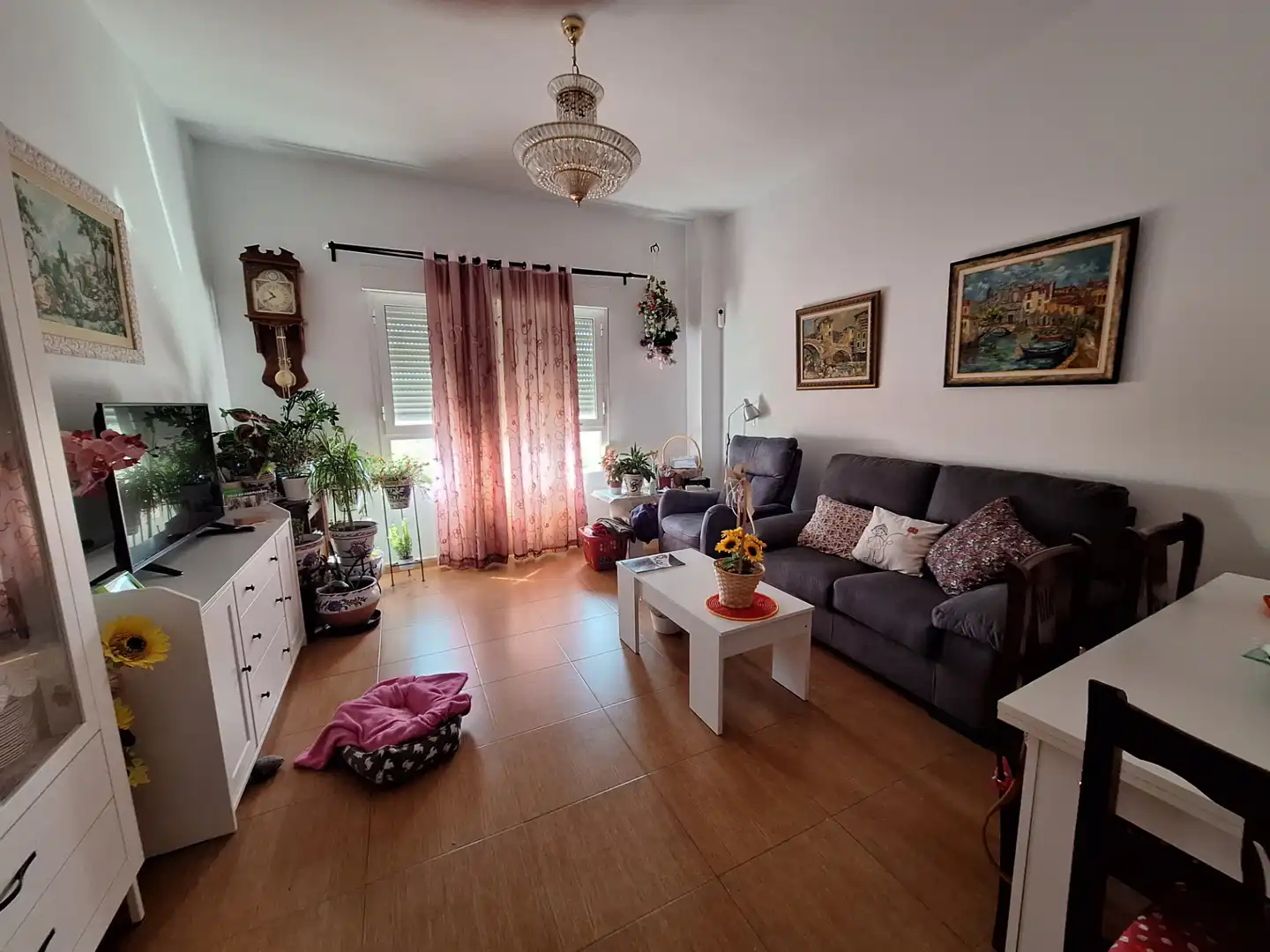Sala d'estar de Planta baixa en venda en Riola amb Aire condicionat