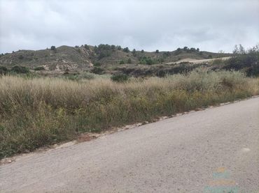 Terreni e lotti in vendita a Totana