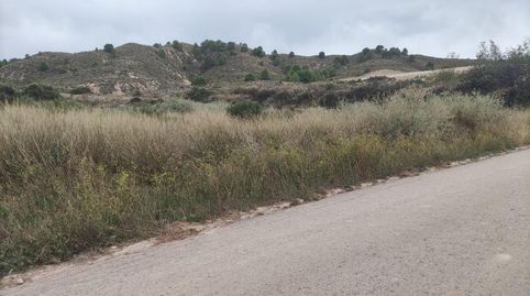 Totana/Terreno