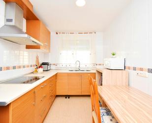 Kitchen of Flat for sale in El Ejido