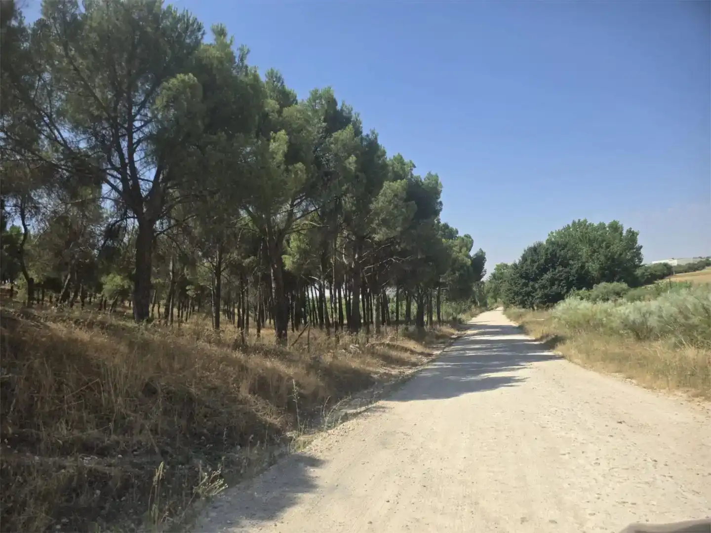 Finca rústica en venda en El Álamo amb Jardí privat, Traster i Piscina