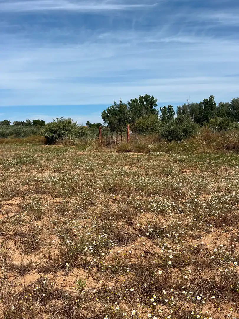 Terreni e lotti in vendita a Pilas, imagen 22