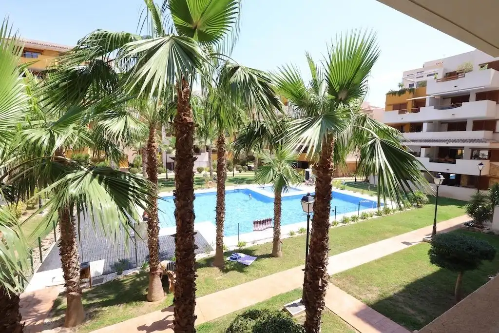 Piscina de Apartamento de alquiler en Torrevieja con Aire acondicionado, Calefacción y Jardín privado