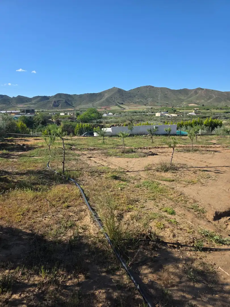 Detached house with garden for sale in Huércal-Overa, imagen 8