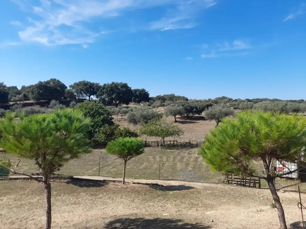 Casa o xalet en venda en San Vicente de Alcántara
