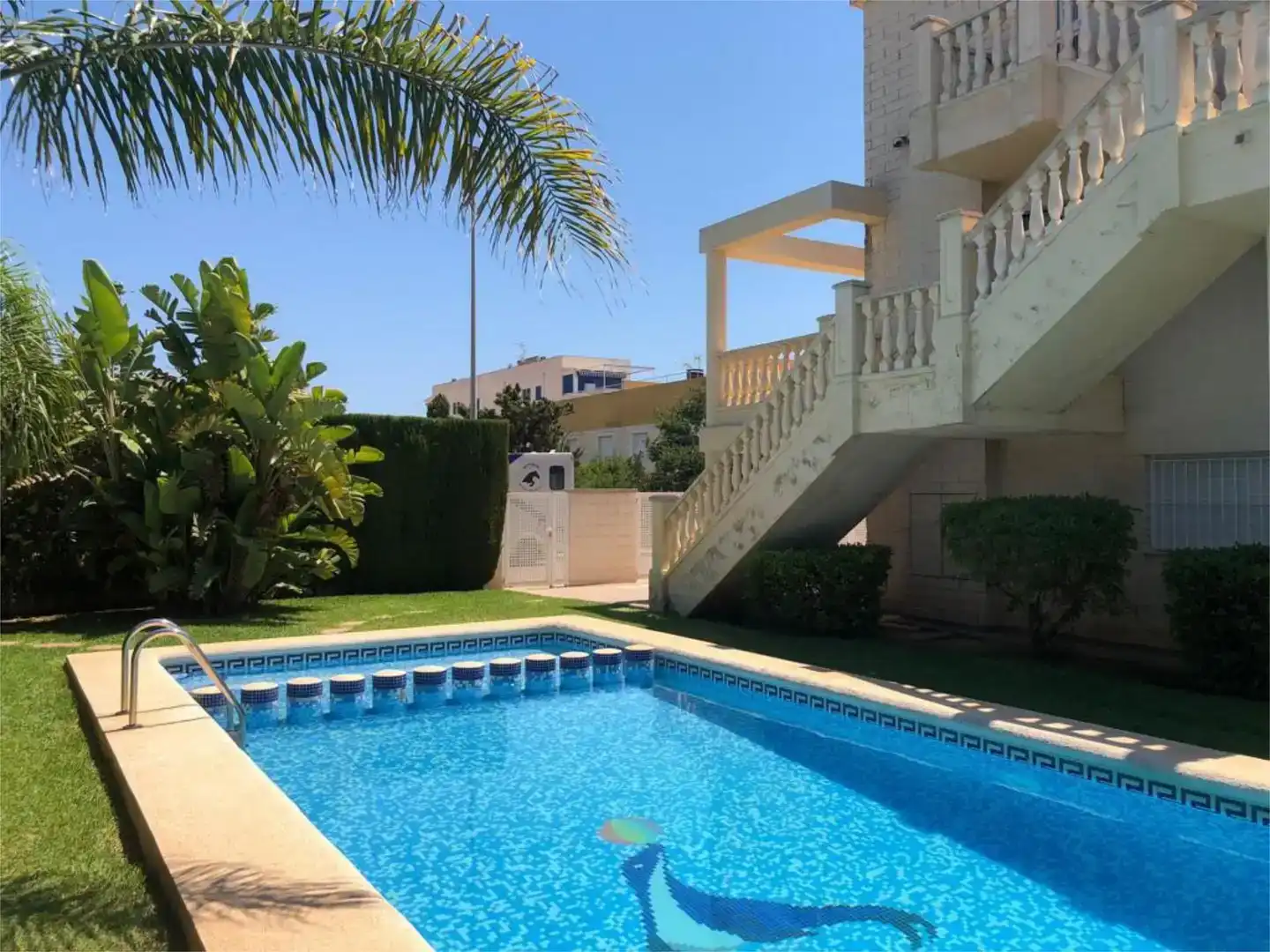 Piscina de Pis de lloguer en Oliva Playa