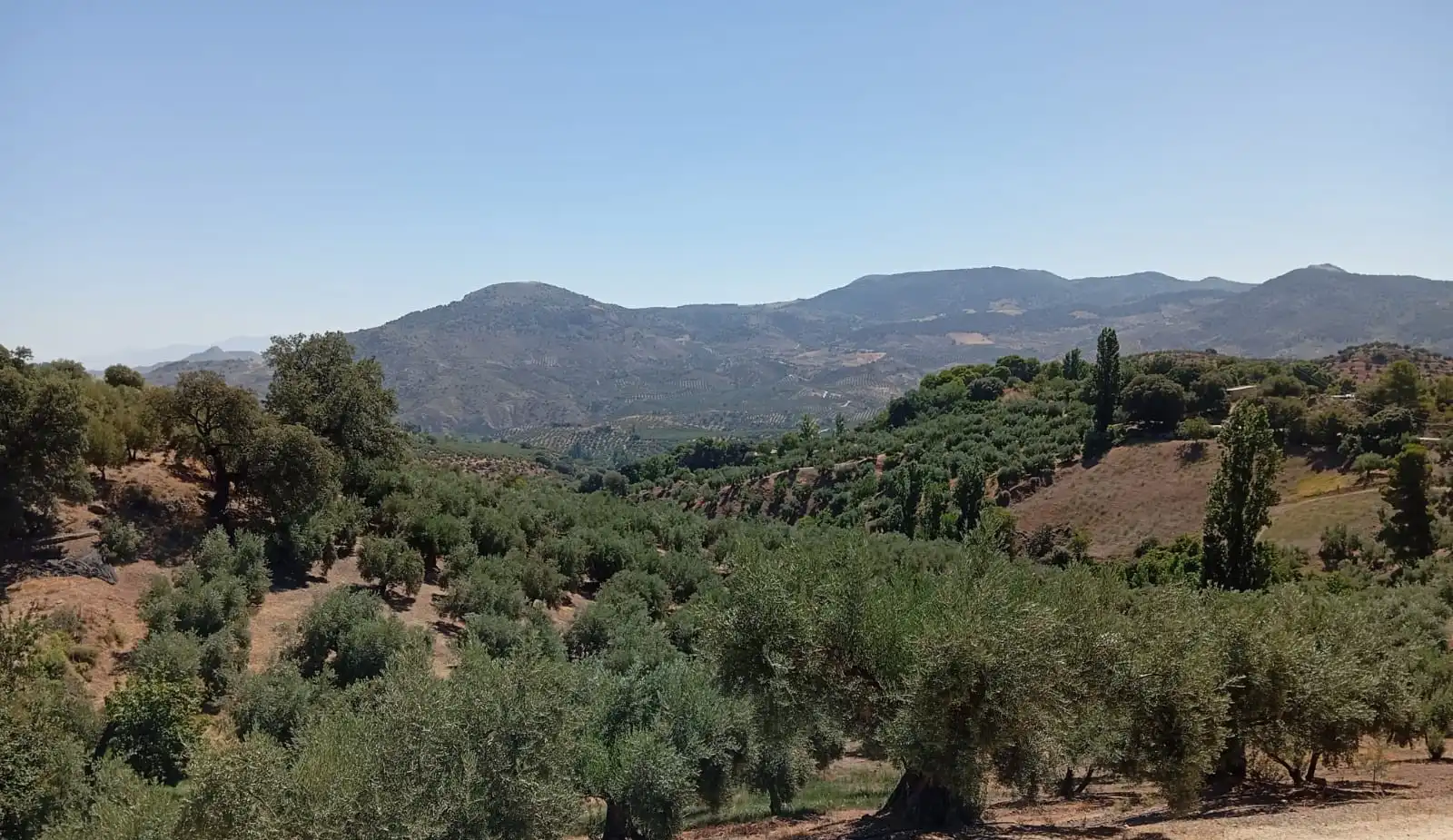 Xalet amb piscina en venda a Sierra Mágina, imagen 36
