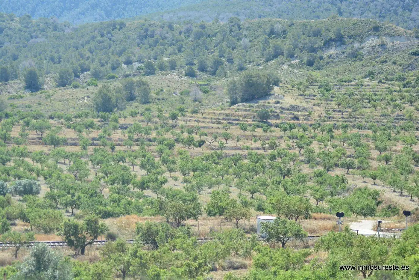 Terreno rustico in vendita a Campo de Murcia, imagen 14