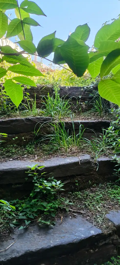 Jardí de Finca rústica en venda en Cedeira amb Jardí privat, Terrassa i Traster