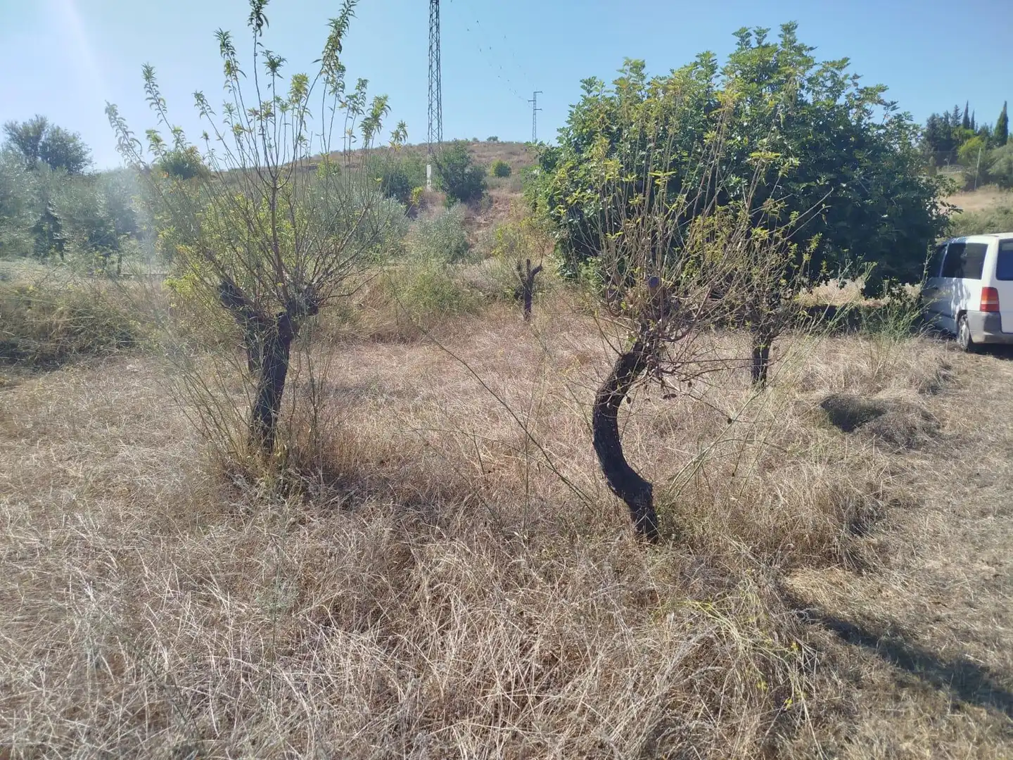 Terreno rústico en venta en Pedanías Oeste, imagen 9