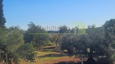 Foto 2 de Finca rústica en venta en Cervera del Maestre, Castellón