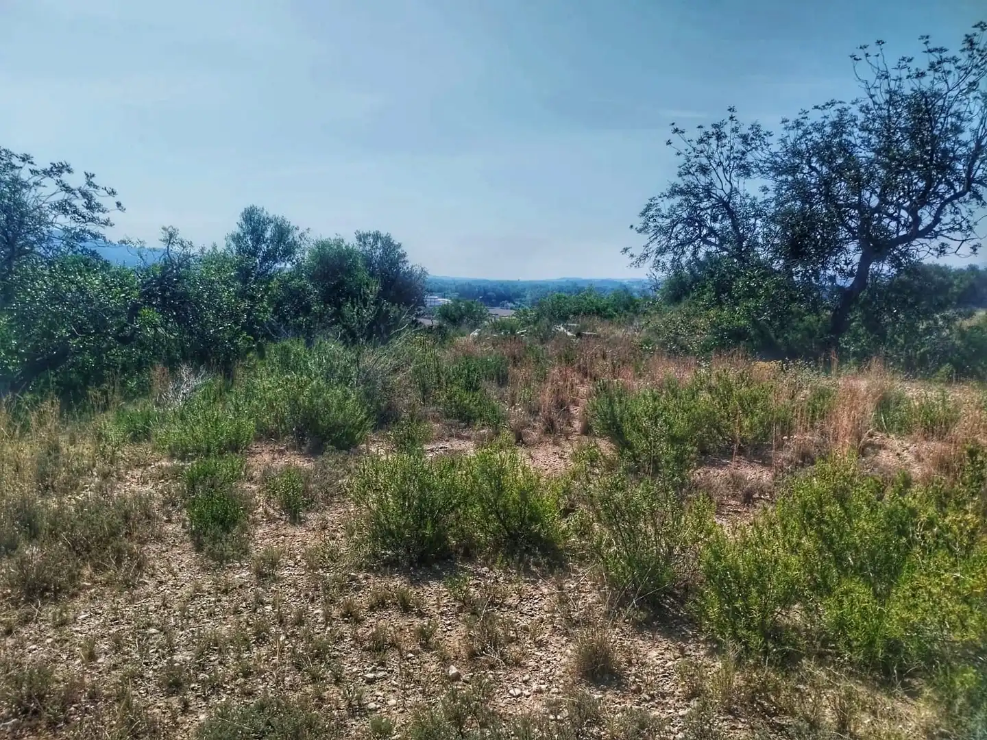 Terrain rustique à vendre à Roquetes, imagen 5